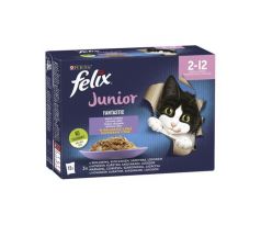 Nestlé FELIX Fantastic cat Multipack junior hovädzie, kura, sardinky, losos v želé kapsička 12x85 g