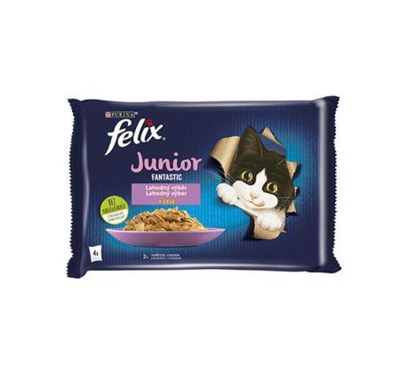 Nestlé FELIX Fantastic cat Multipack junior kura&losos želé kapsička 4x85 g