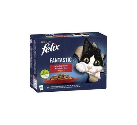 Nestlé FELIX Fantastic cat Multipack hovädzie, hydina, zelená fazulka & jahňa, kura, rajčiny & morka, kačka v želé kapsička 12x85 g