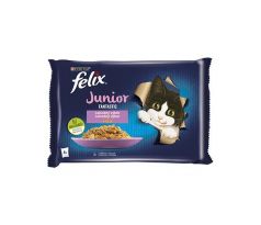 Nestlé FELIX Fantastic cat Multipack junior kura&losos želé kapsička 4x85 g