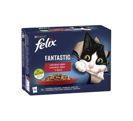 Nestlé FELIX Fantastic cat Multipack mäsový výber želé kapsička 12x85 g