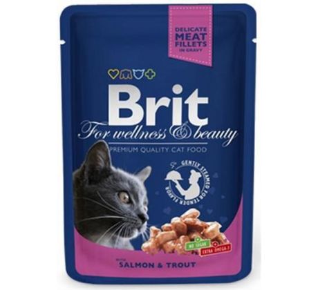 BRIT Premium cat Kapsička Adult Salmon & Trout 10x 100 g