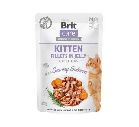 Brit Care cat Kapsička Kitten Fillets in Jelly with Savory Salmon 24 x 85 g