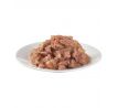 Brit Care cat Kapsička Kitten Fillets in Jelly with Savory Salmon 24 x 85 g