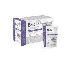 Brit VD Gluten & Grain-Free Cat Fillets in Gravy Gastrointestinal 12x 85g kapsičky