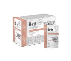 Brit VD Gluten & Grain-Free Cat Fillets in Gravy Renal 12x 85g kapsičky