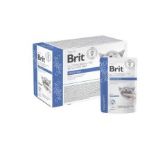 Brit VD Gluten & Grain-Free Cat Fillets in Gravy Recovery 12x 85g kapsičky