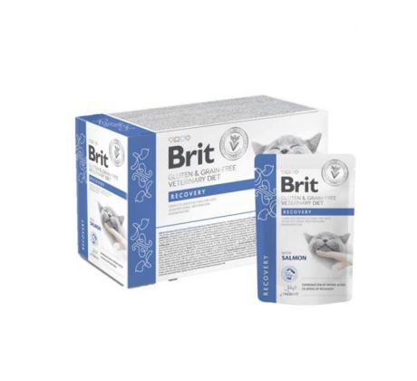 Brit VD Gluten & Grain-Free Cat Fillets in Gravy Recovery 12x 85g kapsičky