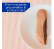 Pamlsok Inaba Churu Grilled cat Tuniak extra krehký v tuniakovom vývare 1 ks 15 g