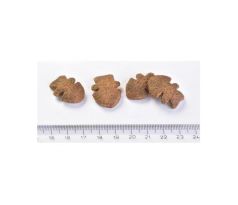 Pamlsok Brit Care dog Crunchy Cracker Insect with Salmon enriched with Thyme 200 g