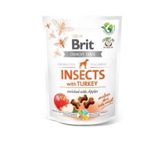 Pamlsok Brit Care dog Crunchy Cracker Insect with Turkey and Apples 200 g