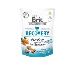 Pamlsok Brit Care Dog Functional Snack Recovery Hering 150 g